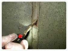 Termite and WDI Inspections